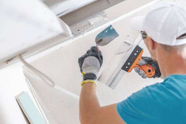 Reliable Wilberforce, OH Mold Removal Solutions